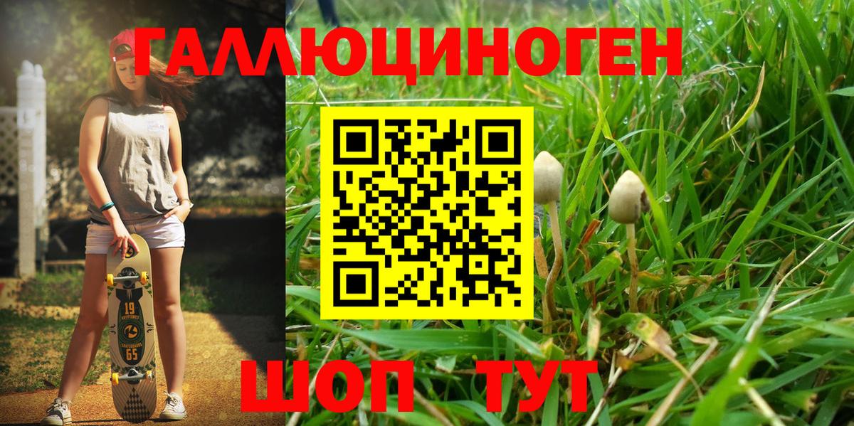 Фрязино  Псилоцибиновые грибы GOLDEN TEACHER  Псилоцибиновые грибы Psilocybe  Вход с VPN 