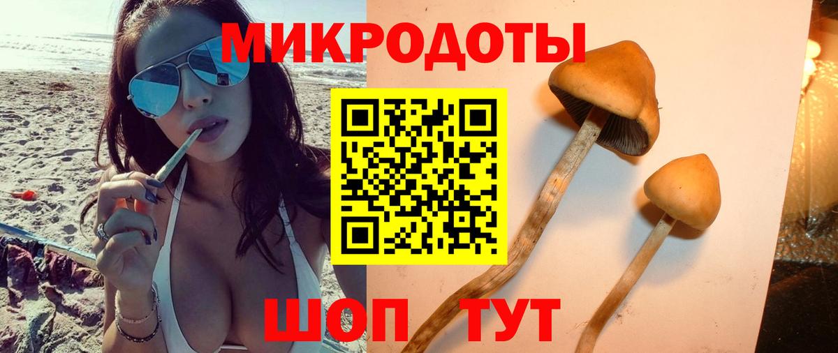 Галлюциногенные грибы ЛСД Фрязино